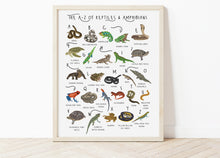 Load image into Gallery viewer, A-Z of Amphibians & Reptiles Poster