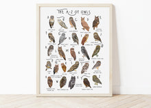 Load image into Gallery viewer, A-Z of Owls Poster