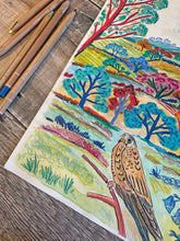 Load image into Gallery viewer, Littlewindsor's Kestrel