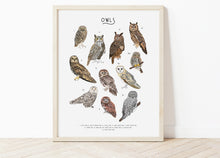 Load image into Gallery viewer, Owl Print
