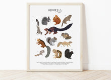 Load image into Gallery viewer, Squirrels Print