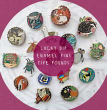 Load image into Gallery viewer, Lucky Dip Enamel Pins