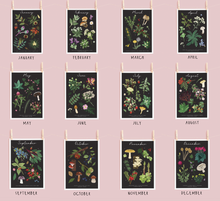 Load image into Gallery viewer, Foraging monthly Print
