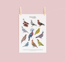 Load image into Gallery viewer, Pigeons Print
