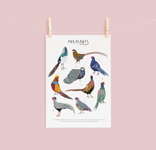 Load image into Gallery viewer, Pheasants Print