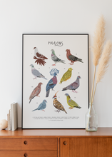 Load image into Gallery viewer, Pigeons Print