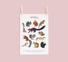Load image into Gallery viewer, Squirrels Print
