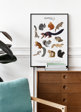 Load image into Gallery viewer, Squirrels Print