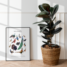 Load image into Gallery viewer, Galliformes Print