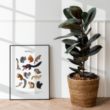 Load image into Gallery viewer, Squirrels Print