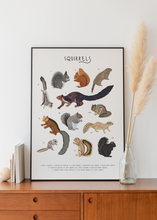 Load image into Gallery viewer, Squirrels Print
