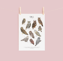 Load image into Gallery viewer, Owl Print