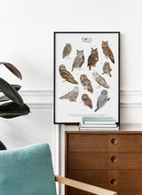 Load image into Gallery viewer, Owl Print
