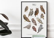 Load image into Gallery viewer, Owl Print