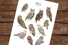 Load image into Gallery viewer, Owl Print