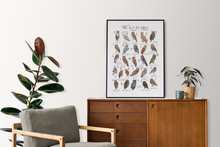 Load image into Gallery viewer, A-Z of Owls Poster