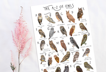 Load image into Gallery viewer, A-Z of Owls Poster