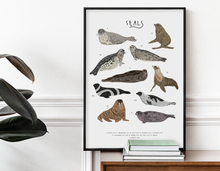 Load image into Gallery viewer, Seals Print