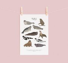 Load image into Gallery viewer, Seals Print