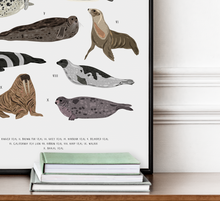 Load image into Gallery viewer, Seals Print