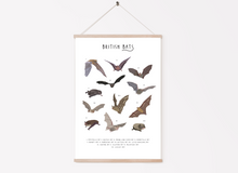Load image into Gallery viewer, British Bats Print