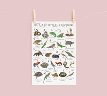 Load image into Gallery viewer, A-Z of Amphibians & Reptiles Poster
