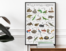 Load image into Gallery viewer, A-Z of Amphibians & Reptiles Poster