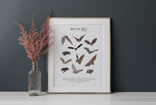 Load image into Gallery viewer, British Bats Print