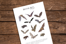 Load image into Gallery viewer, British Bats Print