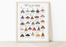 Load image into Gallery viewer, A-Z of Moths Poster