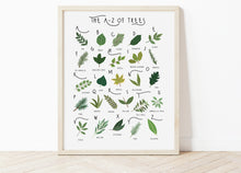 Load image into Gallery viewer, A-Z of Trees Poster