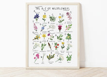 Load image into Gallery viewer, A-Z of Wildflowers Poster