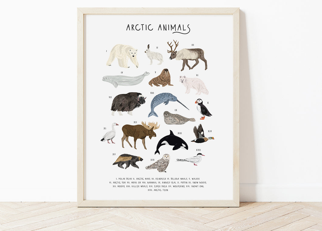 Arctic Animals Print