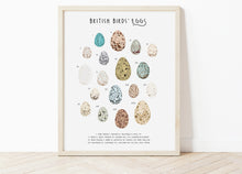 Load image into Gallery viewer, British Birds Eggs Print