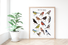 Load image into Gallery viewer, British Birds Print