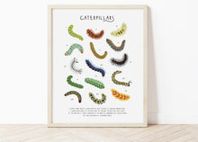 Load image into Gallery viewer, Caterpillar Print