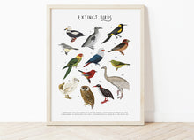 Load image into Gallery viewer, Extinct Birds Print