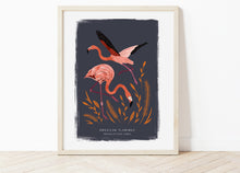 Load image into Gallery viewer, American Flamingo Print
