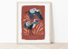 Load image into Gallery viewer, Great Blue Heron Print