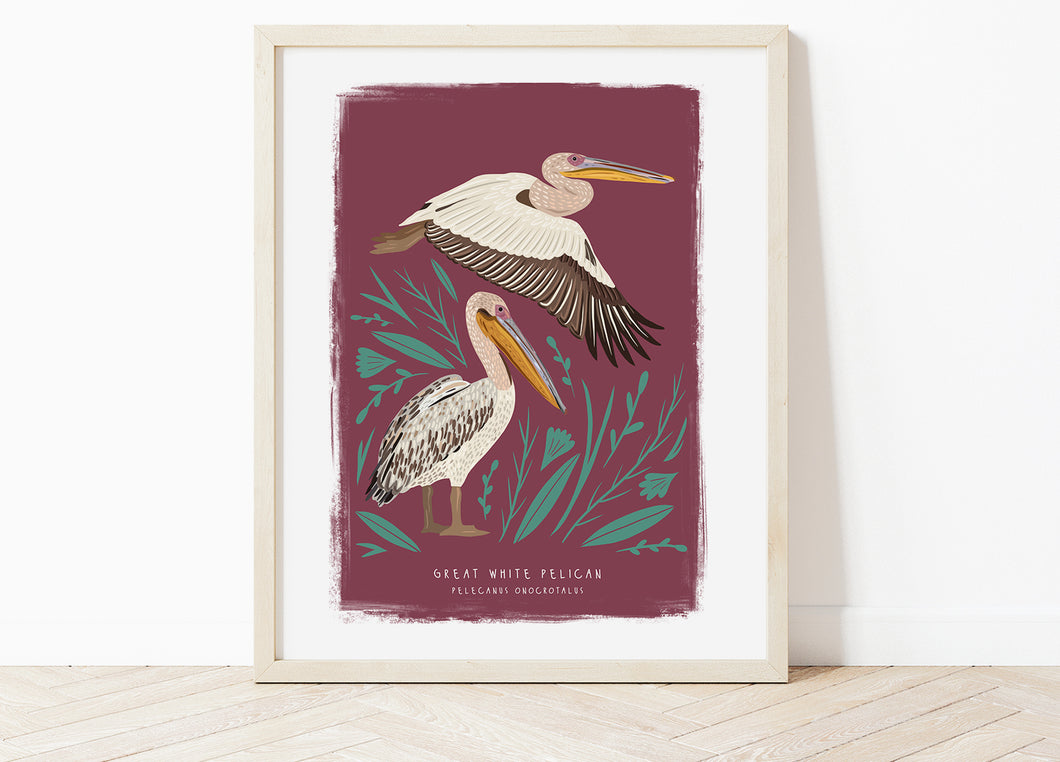 Great White Pelican Print