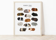 Load image into Gallery viewer, Guinea Pig Print
