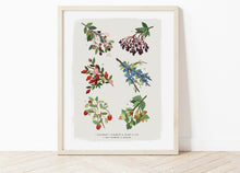 Load image into Gallery viewer, British Hedgerow Print