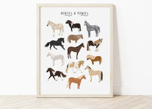 Load image into Gallery viewer, Horses & Ponies Print