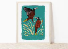 Load image into Gallery viewer, Montezuma Opopendula Print