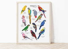 Load image into Gallery viewer, Parrots Print