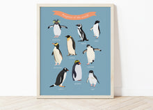 Load image into Gallery viewer, Penguins of the World Print