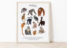 Load image into Gallery viewer, Primates Print