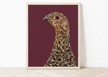 Load image into Gallery viewer, Red Grouse Print