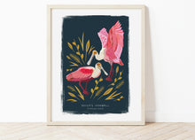 Load image into Gallery viewer, Roseate Spoonbill Print