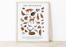 Load image into Gallery viewer, Rural British Wildlife Print